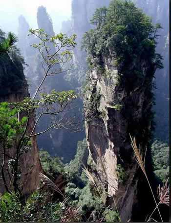 長沙出發(fā)到張家界溶洞奇觀黃龍洞、國家森林公園、袁家界、峰林之王天子山三日游（早班）