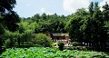 長(zhǎng)沙出發(fā)到花明樓、韶山、張家界國(guó)家森林公園、天門(mén)仙山國(guó)家森林公園四日游
