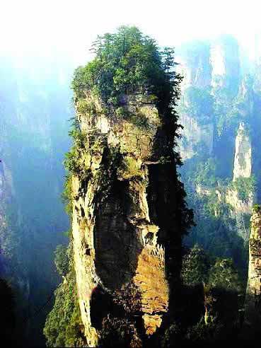 張家界國(guó)家地質(zhì)森林公園、黃石寨、金鞭溪休閑一日游