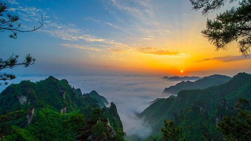張家界森林公園（金鞭溪、袁家界、楊家界、天子山、十里畫廊）住山上2天1游（可看日出）